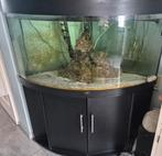 Te Koop grote Juwel 350 L hoek Aquarium met pomp etc, Dieren en Toebehoren, Vissen | Aquaria en Toebehoren, Ophalen, Zo goed als nieuw