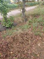 Gratis zand storten - Zwart of geel zand gezocht!, Ophalen, Overige soorten, Volle zon