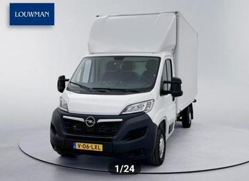 Chaaffuer B gezocht, Amsterdam/Bleiswijk/Rotterdam/Denhaag/  beschikbaar voor biedingen