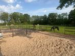 Per 1 okt stal vrij voor afspenen/opfok!, Dieren en Toebehoren, Stalling en Weidegang, Weidegang, 1 paard of pony