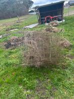 Gratis kippengaas/schapengaas, Ophalen, Gebruikt, 20 meter of meer, Gaas