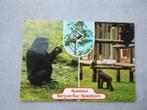 Apeldoorn, Berg en Bos, Apenheul, gorilla's  1981, Verzenden, 1980 tot heden, Gelopen, Gelderland