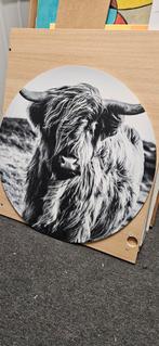 Muurcircel Schotse Hooglander 50x50cm zwart/wit, Ophalen of Verzenden, 50 tot 75 cm, Overige typen, 50 tot 75 cm