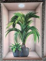 Canvas schilderij / doek plant NIEUW 40X60, Ophalen of Verzenden, Nieuw