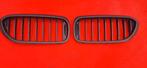 BMW 5 Serie G30 G31 Nieren Koelergrill Bumpergrill, Voor, Nieuw, Ophalen of Verzenden, BMW