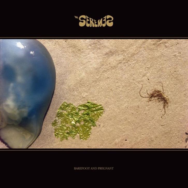 CD: The Serenes – Barefoot And Pregnant, Cd's en Dvd's, Cd's | Rock, Zo goed als nieuw, Poprock, Ophalen of Verzenden