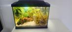aquarium 40l superfish, Ophalen, Gevuld zoetwateraquarium