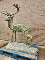 BRONZEN GROOT HERT OP VOETSTUK ALLES IN BRONS KOOPJE !!!, Ophalen of Verzenden, Zo goed als nieuw, Overige materialen, Dierenbeeld