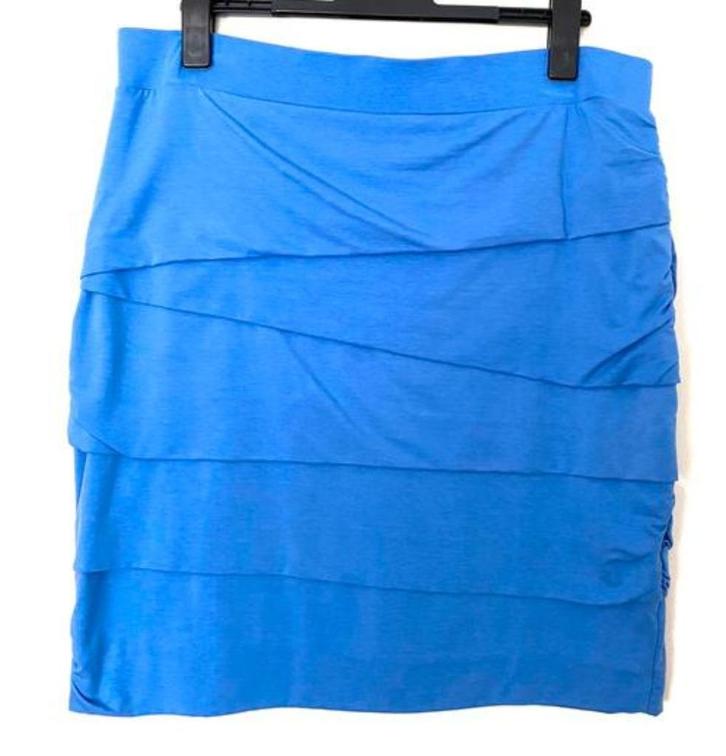 Promiss rok maat 46/48, Kleding | Dames, Rokken, Nieuw, Maat 46/48 (XL) of groter, Blauw, Boven de knie, Ophalen of Verzenden