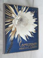 Verkade album 1931 Cactussen, A. J. van Laren., Ophalen of Verzenden, Gelezen, Verkade, Plaatjesalbum