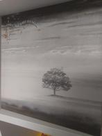 Genesis Wind and Wuthering LP 1976, Gebruikt, Ophalen of Verzenden, Progressive