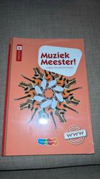 Rinze van der Lei - Muziek Meester!, Rinze van der Lei; Lieuwe Noordam; Frans Haverkort, Nieuw, Ophalen of Verzenden, Muziek