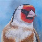 schilderij puttertje 317 - uit eigen atelier - olieverf, Ophalen of Verzenden