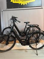 Set elektrische fietsen TREK VERVE + 3 PBOSCG PERFORMANCE