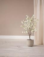 Pvc vloeren Ambiant / vt wonen, vaste lage prijzen., Visgraat, laminaat, rechte plank, pvc, tegel, beton, natuurlijk., 75 m² of meer