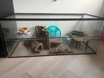 Terrarium, Dieren en Toebehoren, 110 cm of meer, Ophalen, Minder dan 60 cm, Hok