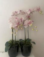 Orchidee kunst 2x, Ophalen, Overige soorten, Minder dan 100 cm
