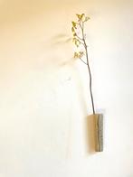 Wandvaasje keramiek, Ophalen of Verzenden, Nieuw