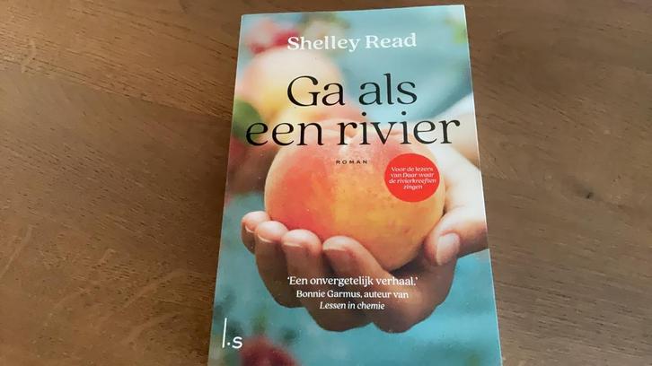 Ga als een rivier ( Shelley Read), Boeken, Romans, Zo goed als nieuw, Ophalen of Verzenden