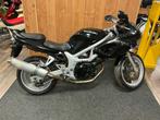 1999 Suzuki Tour SV650S Motorfiets, Motoren, Motoren | Suzuki, Bedrijf, Overig