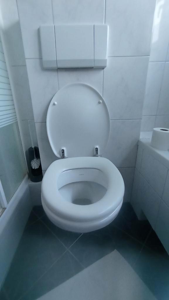 Complete hangend toilet gratis, Doe-het-zelf en Verbouw, Sanitair, Gebruikt, Toilet, Ophalen