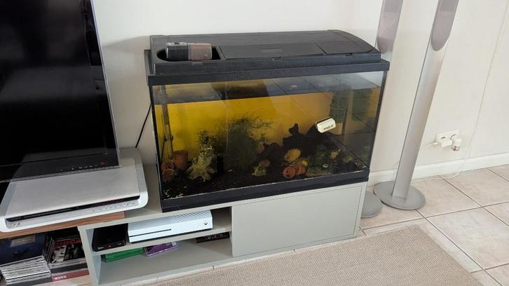 Aquarium, Dieren en Toebehoren, Vissen | Aquaria en Toebehoren, Gebruikt, Gevuld zoetwateraquarium, Ophalen