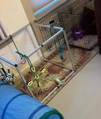 Puppy gym hond aluminium speelrek 70x70 touw speeltjes, Ophalen of Verzenden, Zo goed als nieuw