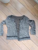 Bruin vest, maat m, Kleding | Dames, Maat 38/40 (M), Bruin, Ophalen of Verzenden, Onbekend