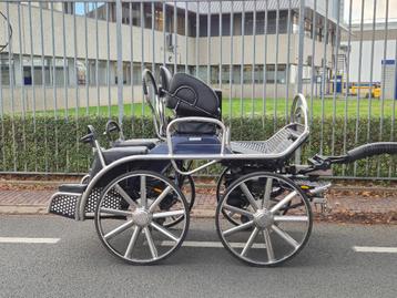 Glinkowski vierspan marathonwagen beschikbaar voor biedingen