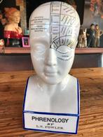 Studie hoofd, Ophalen of Verzenden, Huis en Inrichting