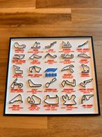 3D Geprint Formule 1 Overzicht 2025, Ophalen of Verzenden, Nieuw