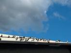 postduiven te koop, Dieren en Toebehoren