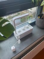 Click & Grow Smart Garden, Tuin en Terras, Kweekspullen, Ophalen, Nieuw, Kweekbak