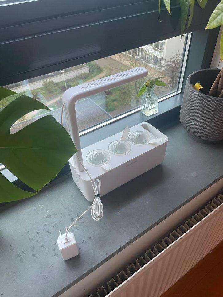 Click & Grow Smart Garden, Tuin en Terras, Kweekspullen, Nieuw, Kweekbak, Ophalen