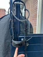 Stang en trens hoofdstel, Dieren en Toebehoren, Paarden en Pony's | Hoofdstellen en Tuigage, Ophalen of Verzenden, Zo goed als nieuw