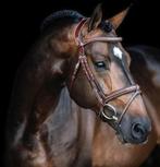 Hoofdstel te koop LJ leathers bruin full, Ophalen of Verzenden