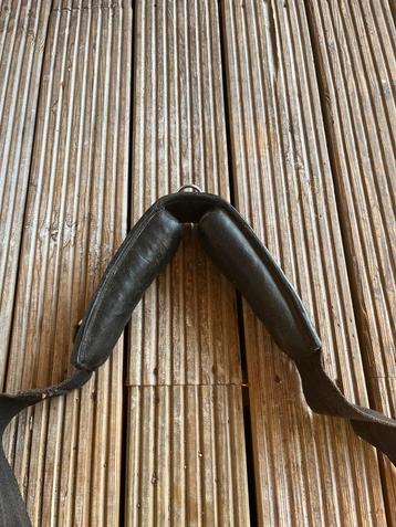 Longeersingel met bijzetjes maat cob beschikbaar voor biedingen