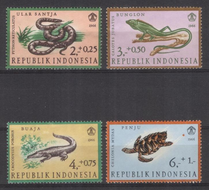 Indonesië (18) - reptielen