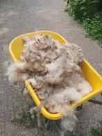 schapenwol, Hobby en Vrije tijd, Spinnewielen en Spinnen, Ophalen, Gebruikt, Spinwol