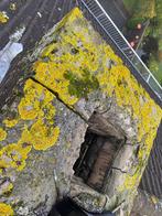 Inspectie dak, pannen, leien, riet, schoorsteen en goot., Garantie, Riet