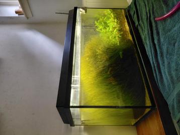 Aquarium met toebehoren  beschikbaar voor biedingen