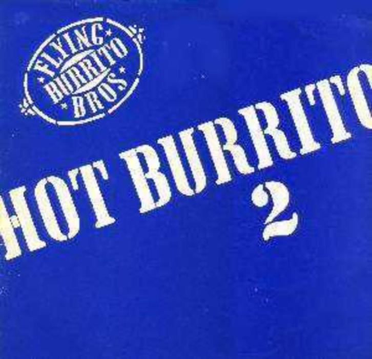 Flying Burrito Bros ‎– Hot Burrito 2/Countryrock Bluegrass, Cd's en Dvd's, Vinyl | Pop, Gebruikt, 1960 tot 1980, 12 inch, Ophalen