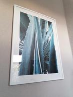 Schilderij cactus 52 x 72 cm, Huis en Inrichting, Woonaccessoires | Schilderijen, Tekeningen en Foto's, 50 tot 75 cm, Ophalen of Verzenden