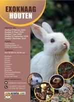 Exoknaag&Terraria Houten 31-03-2024 Nederlands groo, Dieren en Toebehoren, Knaagdieren