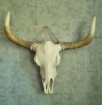 Mooie zware skull, Ophalen of Verzenden, Zo goed als nieuw