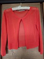 Feestelijk vestje, Verzenden, Oranje, Zo goed als nieuw, Steps