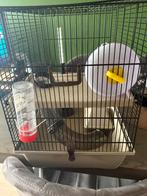 Hamsterkooi met toebehoren, Kooi, Minder dan 75 cm, Hamster, Ophalen