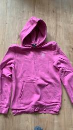 Heerlijke hoody, Kleding | Dames, Ophalen of Verzenden, Zo goed als nieuw