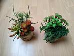 Z.g.a.n. 2 kunstplantjes, Ophalen of Verzenden, Zo goed als nieuw, Binnen