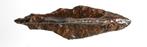 Romeins Geflends trilobate pijlpunt L 53,3 b ca 16mm   b329, Ophalen of Verzenden
